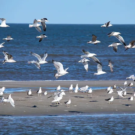 Deichloft - Mit Watt- Und Hafenblick Apartamento