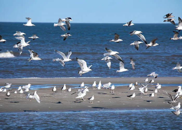 Deichloft - Mit Watt- Und Hafenblick Appartement